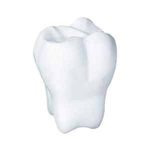 Stress Shape Tooth