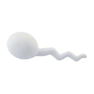 Stress Shape - Sperm